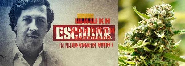 метадон Володарск
