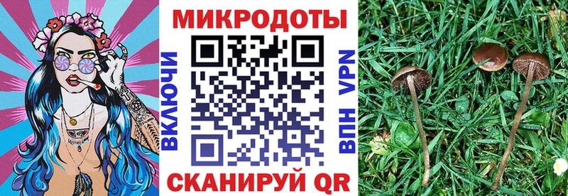 Галлюциногенные грибы ЛСД  Магнитогорск 